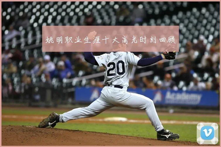 姚明职业生涯十大高光时刻回顾