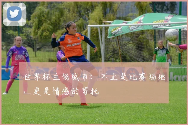 世界杯主场城市：不止是比赛场地，更是情感的寄托