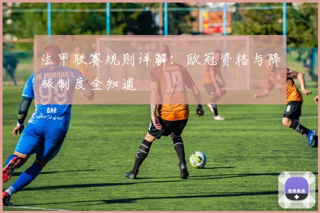 法甲联赛规则详解：欧冠资格与降级制度全知道