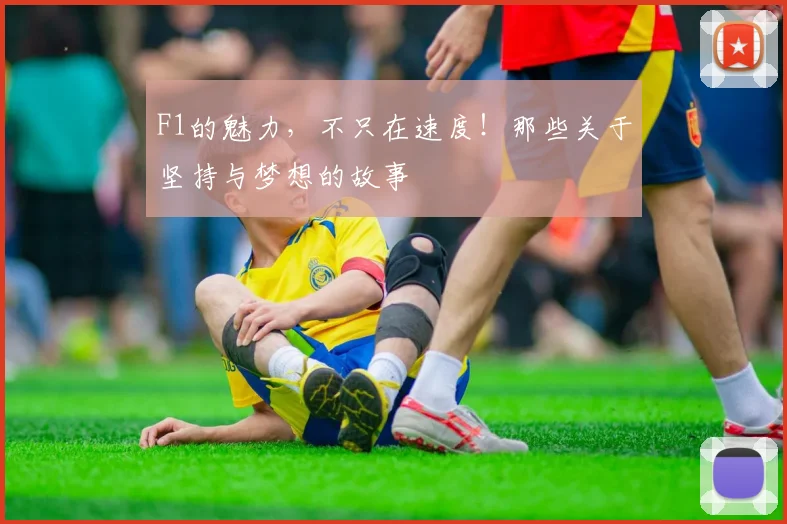 F1的魅力,不只在速度!那些关于坚持与梦想的故事